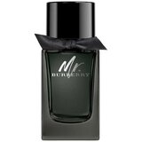 Burberry Mr. Burberry edp 100ml