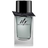Burberry Mr. Burberry edt 100ml