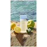 Dolce & Gabbana Light Blue edt 50ml