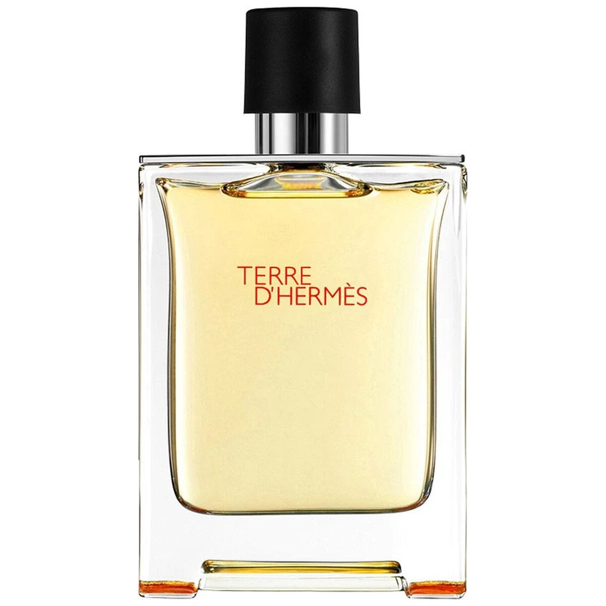 Hermès Terre D'Hermès EDT 100ml