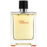 Hermès Terre D'Hermès EDT 100ml