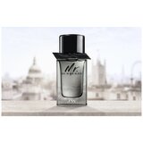 Burberry Mr. Burberry edt 100ml