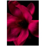 BVLGARI Splendida Magnolia Sensuel edp 100ml