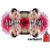 Cacharel Amor Amor edt 100ml