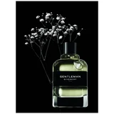 Givenchy Gentleman 2017 edt 100ml