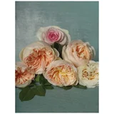 Gucci Bloom Nettare Di Fiori edp 30ml