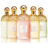 Guerlain Aqua Allegoria Pera Granita edt 75ml