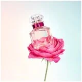 Guerlain Mon Guerlain Bloom Of Rose edt 30ml