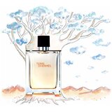 Hermès Terre D'Hermès EDT 100ml