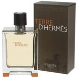 Hermès Terre D'Hermès EDT 100ml