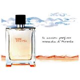 Hermès Terre D'Hermès EDT 100ml