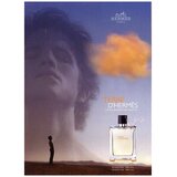Hermès Terre D'Hermès EDT 100ml