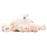 Tous Rosa Eau Legere edt 50ml