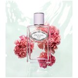 Prada Infusion Oeillet edp 100ml