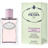 Prada Infusion Oeillet edp 100ml