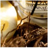 Yves Saint Laurent L'Homme edt 60ml