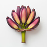 Banana Flower