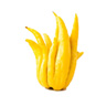 Buddha's hand