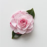 Camellia