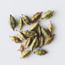 Cardamom