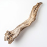 Dry Wood