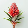 Pineapple blossom