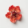 Pomegranate Blossom