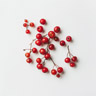 Red Berries