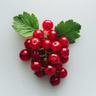 Red Currant