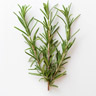 Rosemary