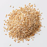 Sesame