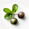 Star apple